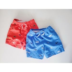 Sunblock Embroidered Swim Shorts

Hanna Andersson